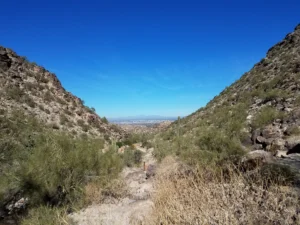 How to get fit in Laveen