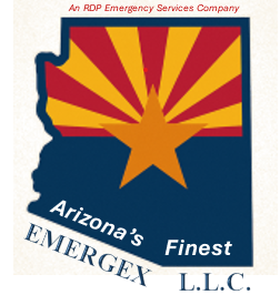 Emergex LLC Logo